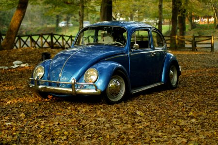 Blue VW Beetle In The Park On Autumn Leaves