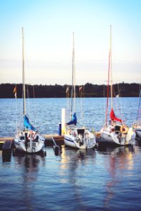 Boats On The River photo