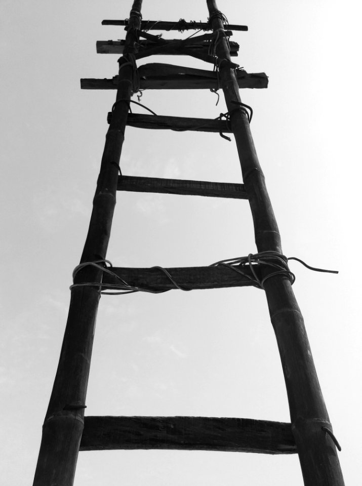 Black Bamboo Ladder During Daytime