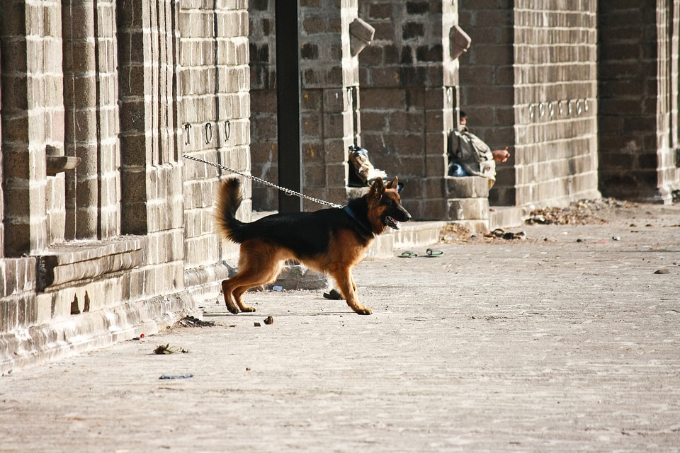Alert chained standing