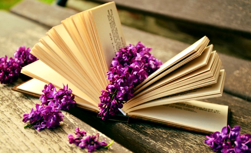 Lilac Flowers On Open Book