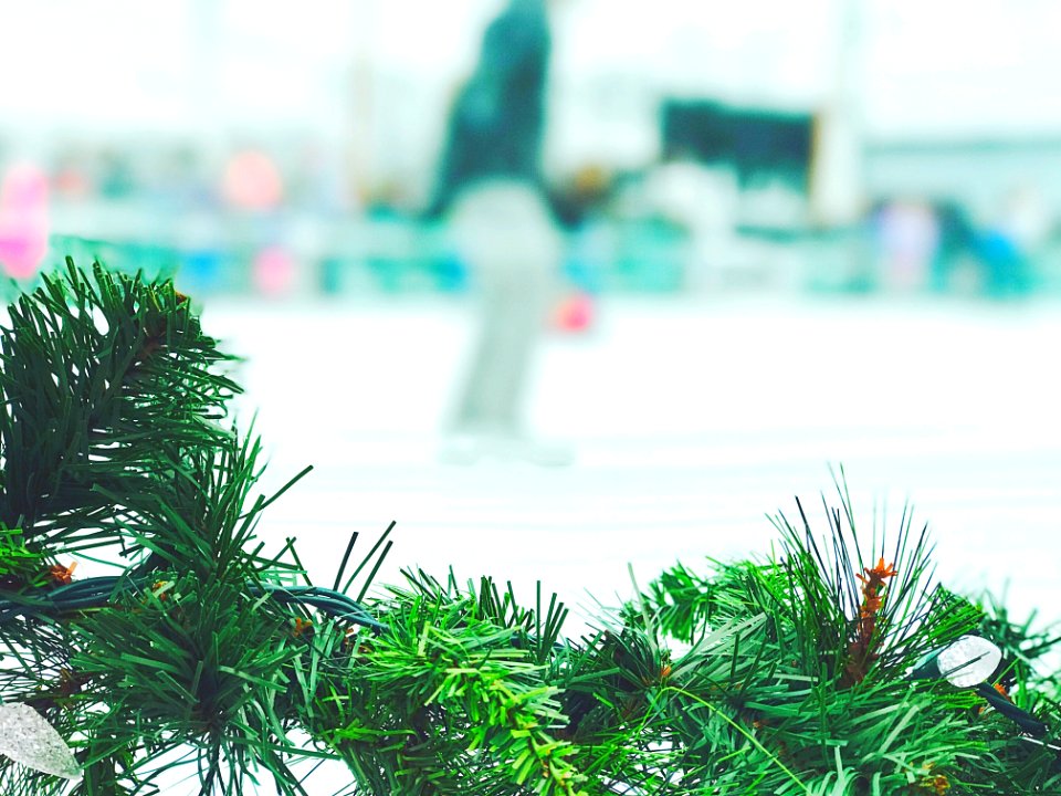 Christmas Garland In Ice Rink