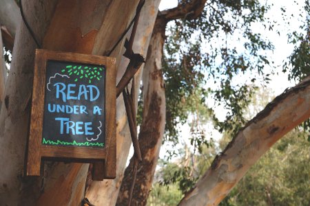 Read Under A Tree Signage Hanging On Branch Tree