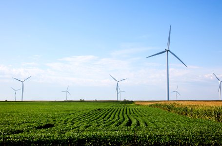 Wind Turbines in rural Missouri. Original image from Carol M. Highsmith’s America, Library of Congress collection. photo