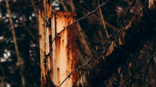 Barbed Wire On Wooden Post photo