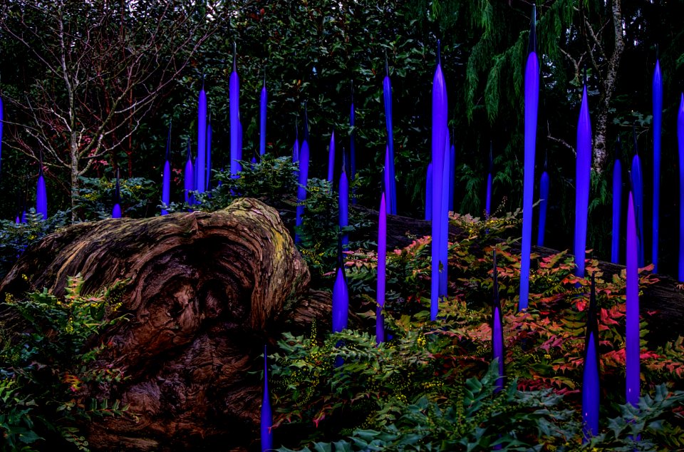 Garden1-Chihuly Gallery-Seattle 2016
