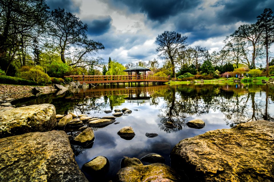 Lake In A Picturesque Park