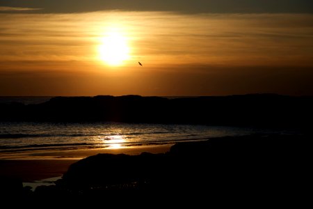 Blue Seashore During Sunset photo