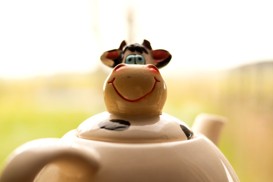 Funny Cow Face On Teapot