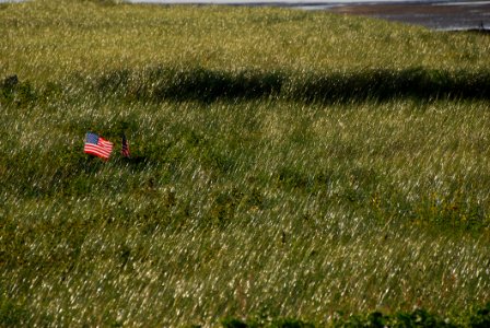 United States Flag On Green Grass Field