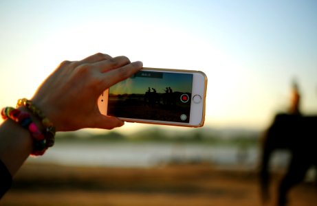 Person Videoing Elephant On Smartphone