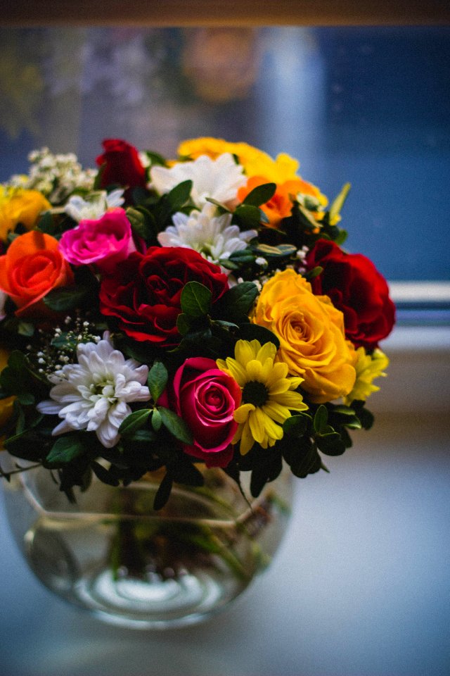 Close Up Photography Of Multi Petaled Plants In Clear Glass Vase