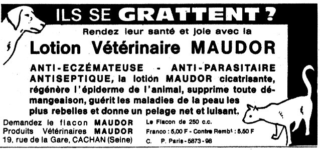 Font Poster Monochrome Terrestrial Animal