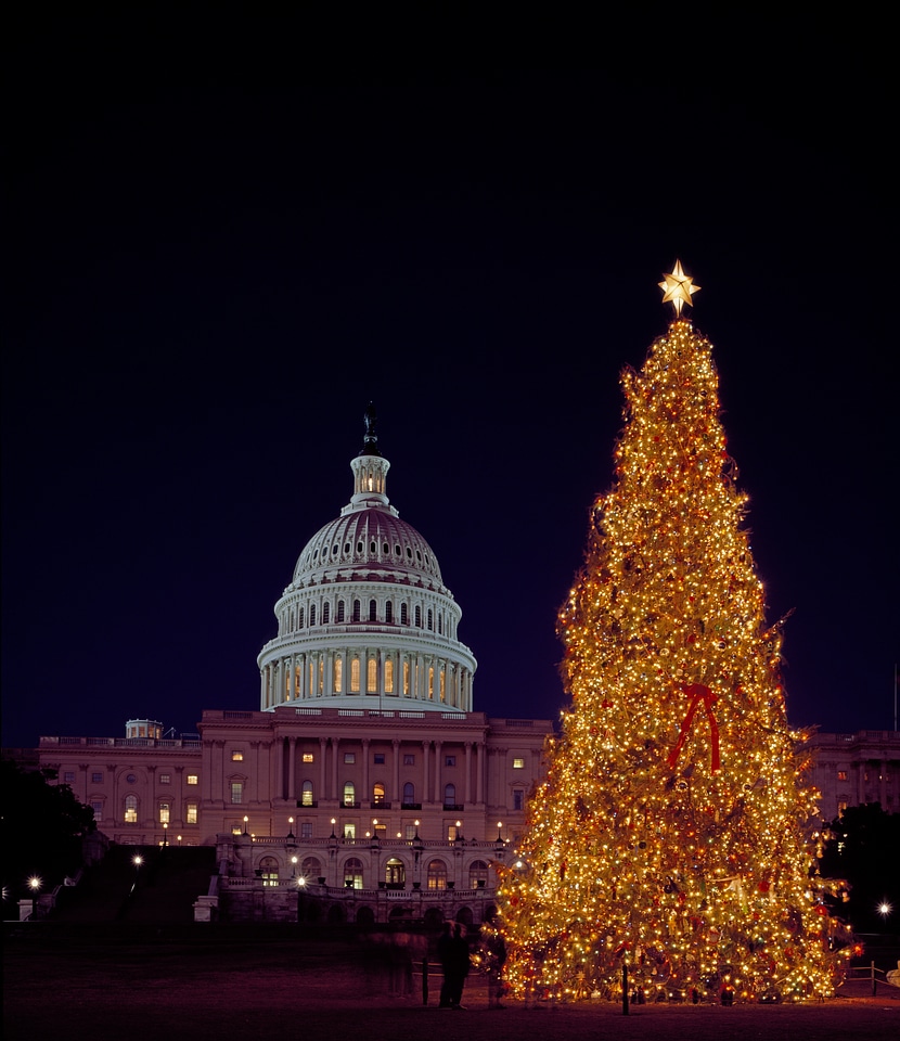 Building government washington