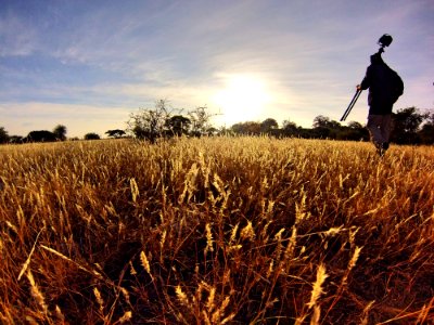 Man In Black Long Sleeve Shirt Holding Camera Tripod Walking On Wheat Fields At Daytime
