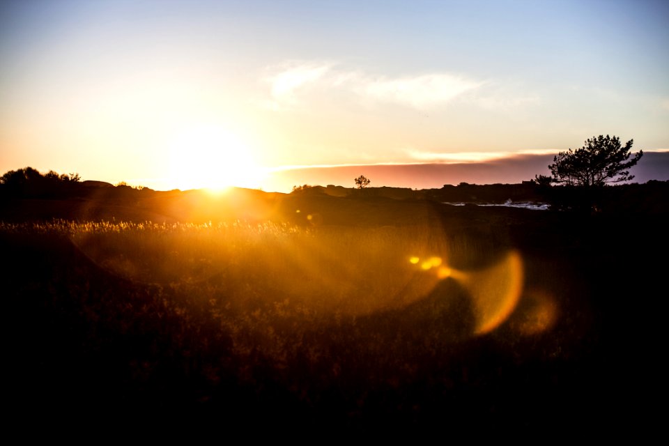 Field During Sunrise