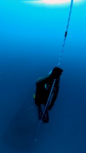 Person Diving Underwater