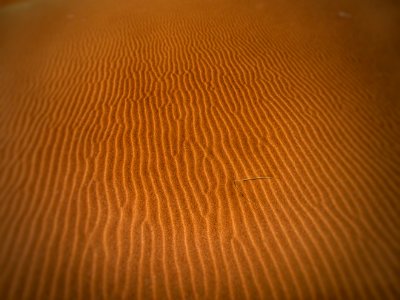 Desert Sand