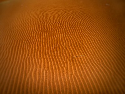 Desert Sand photo