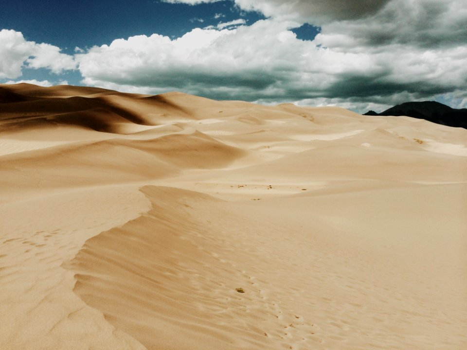 Desert Dunes On Sunny Day