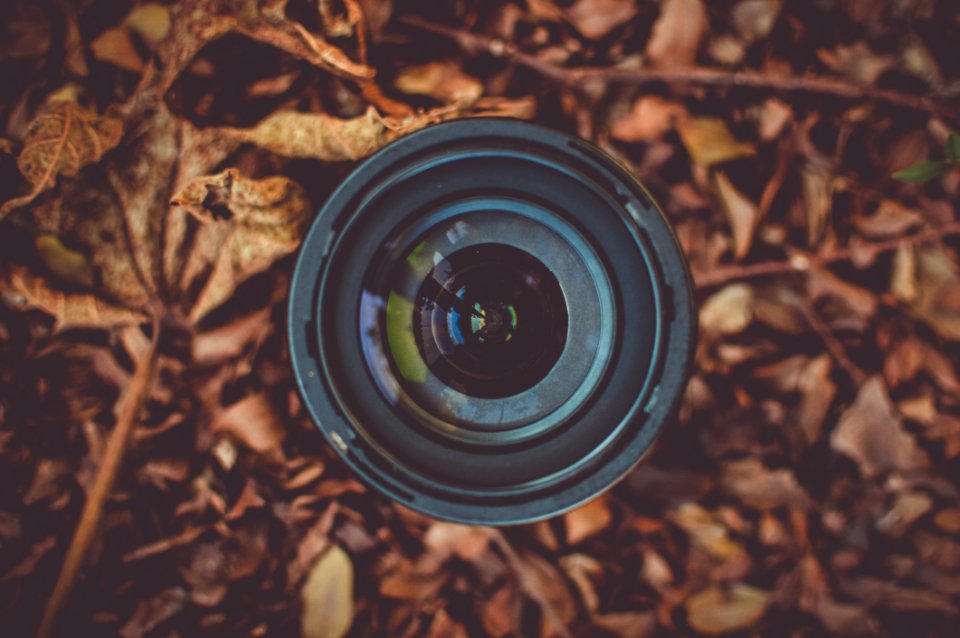 Black Camera Lens On Brown Dried Leaf