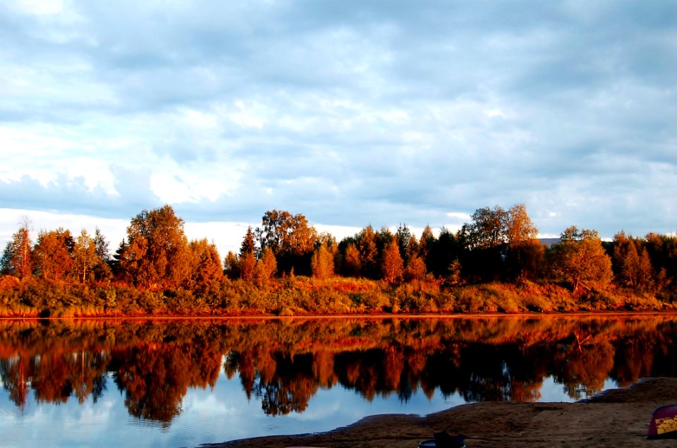 Photo Of Trees Near The Lake During Daytime