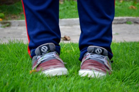 Person In Red Grey Sneakers On Green Grass photo