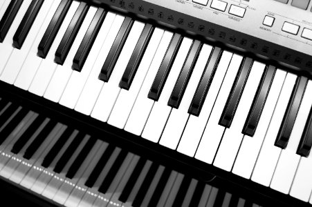 Gray Electric Keyboard photo