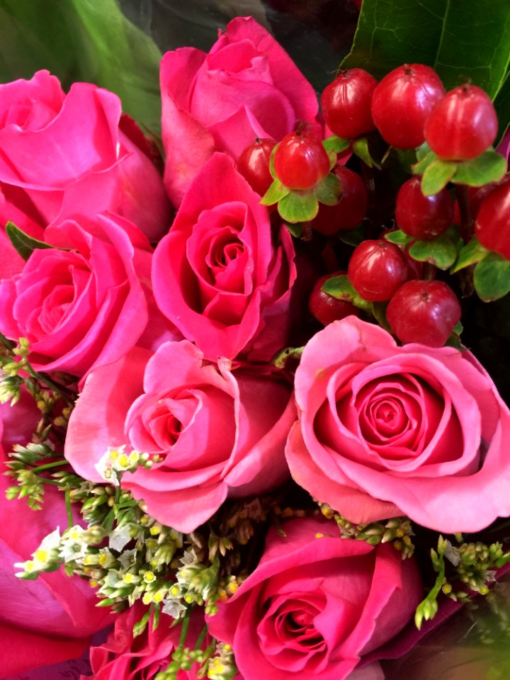 Pink Flowers And Green Leaves
