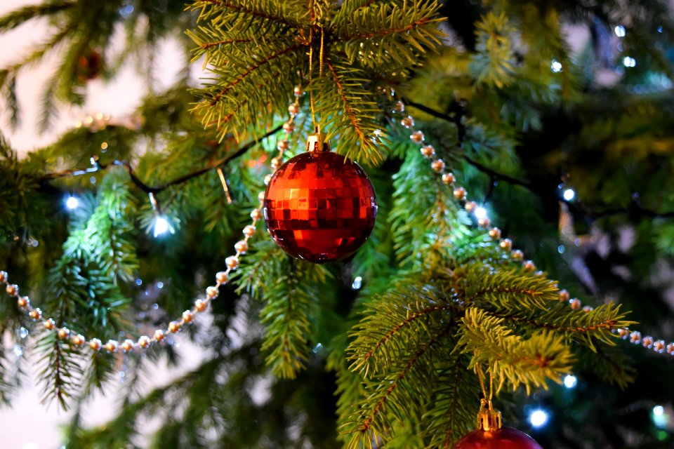 Red Baubels Hang On The Christmas Tree