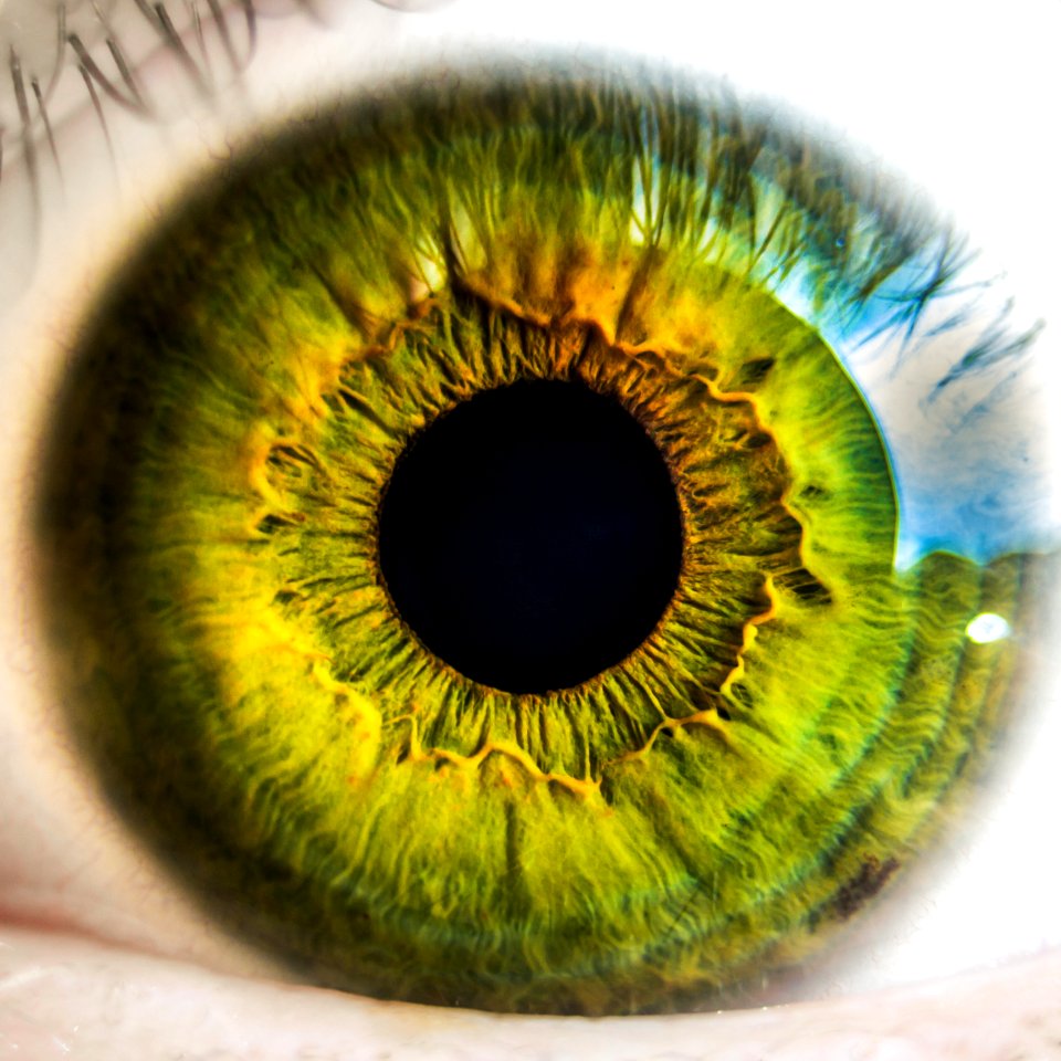 Macro Of Green Eye