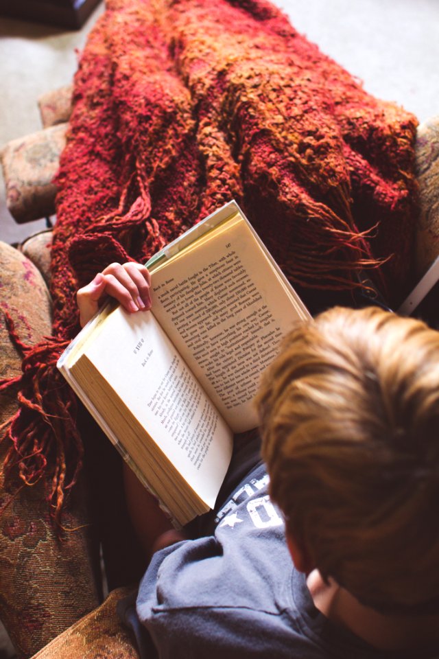 Man In Blue Shirt Reading Book
