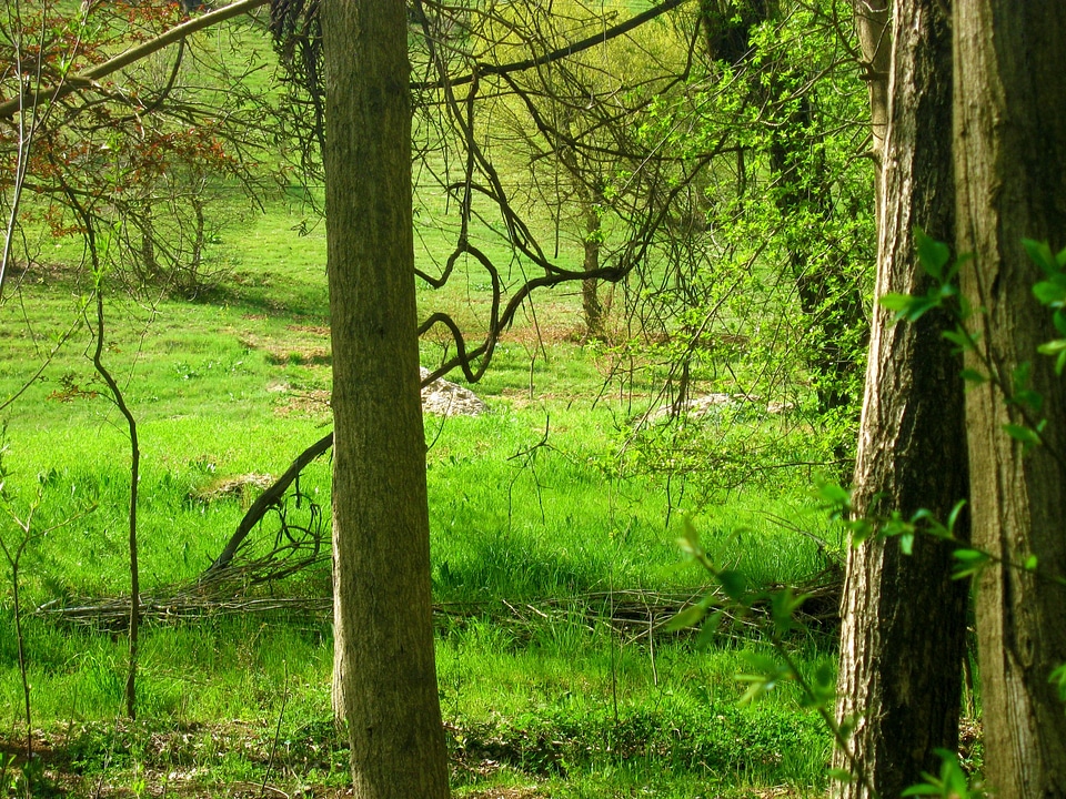 Landscape wilderness scenery photo