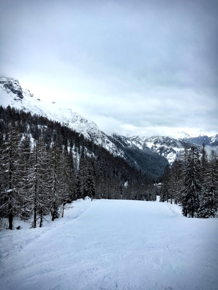 Snow Covered Ground With Pine Trees At The Foot Of Mountain During Winter