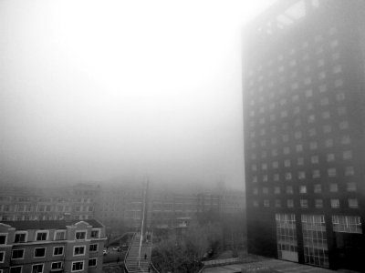 Fog Over Modern Building photo