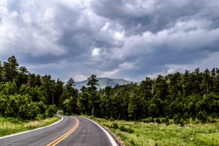 Road Through Forest In Countryside