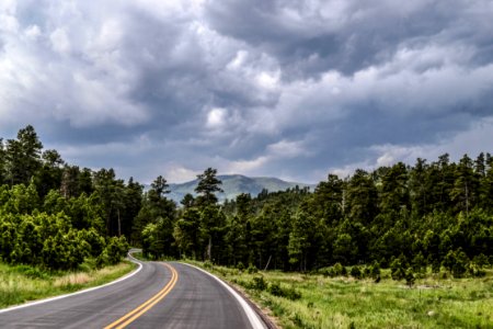 Road Through Forest In Countryside photo