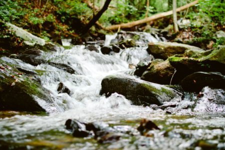 Water Rapids In Stream