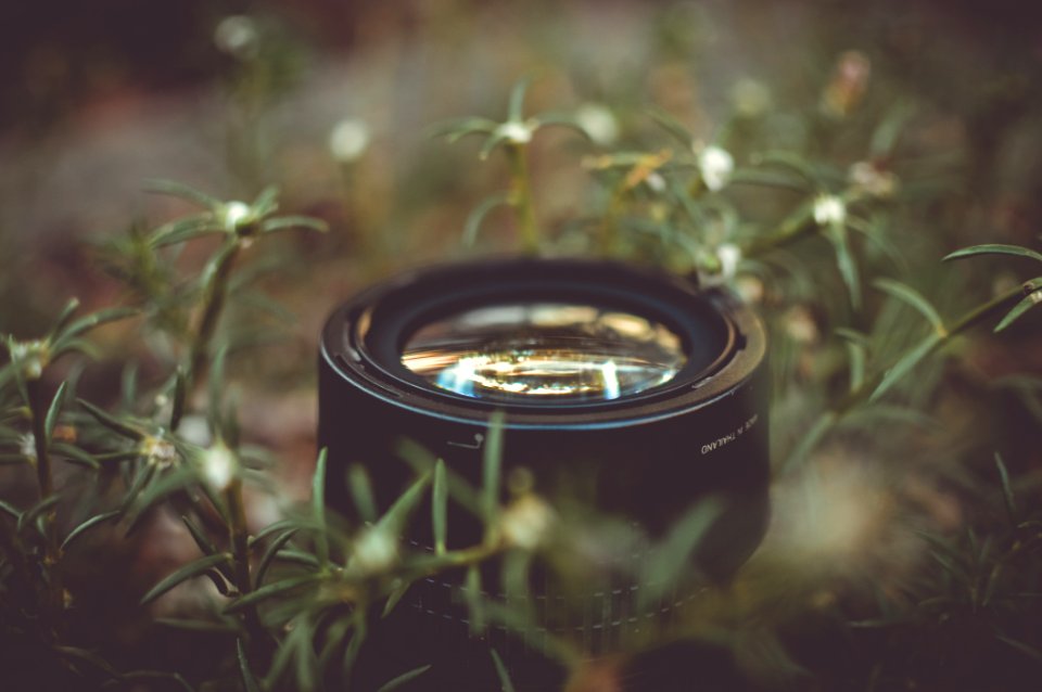 Camera Lens Surrounded By Green Outdoor Grass