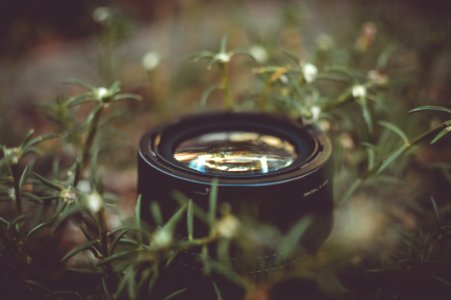Camera Lens Surrounded By Green Outdoor Grass