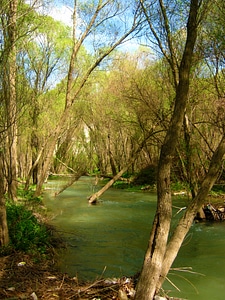 River stream landscape