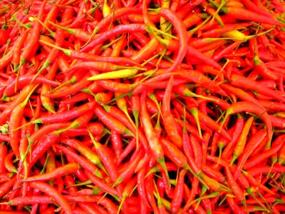 Red Chili photo