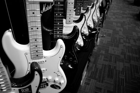 Grey Scale 8 Electric Guitars photo