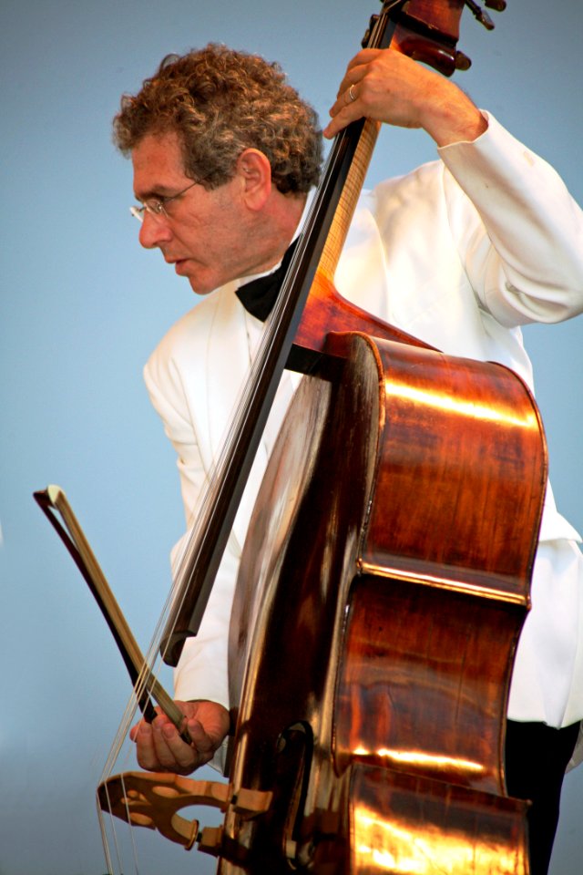Bass Player In Concert