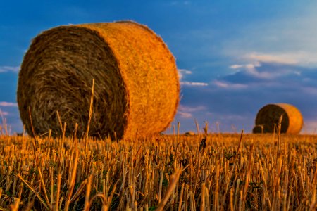 Brown Hay Stack photo