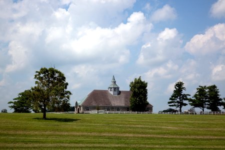 Horse farm in Lexington, Kentucky (2009) by Carol M. Highsmith. Original image from Library of Congress.