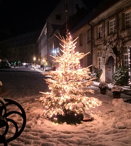 Light snow dark