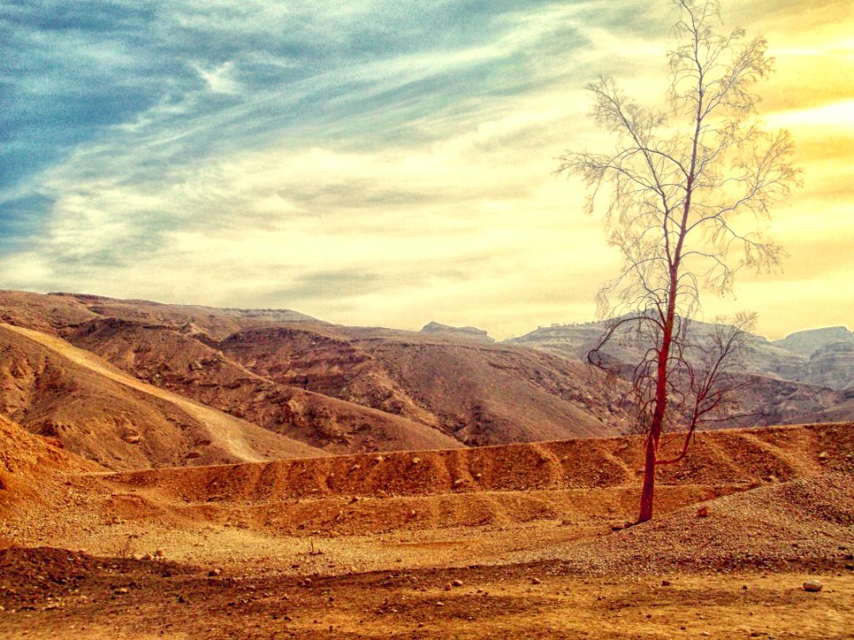 Desert Landscape photo