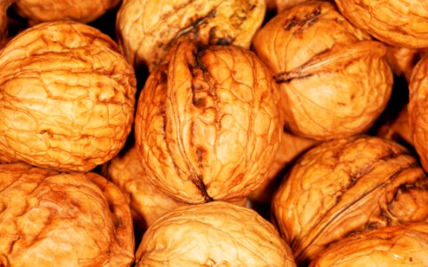 Whole Walnuts In Shell