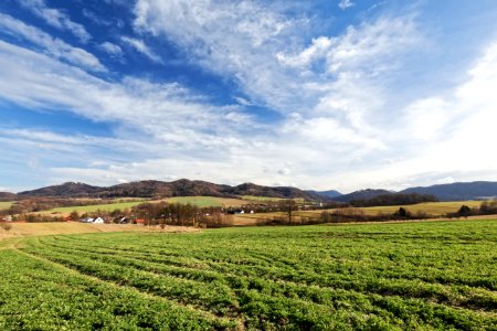 Green Crops Under White Clouds And Blue Sky During Daytime photo